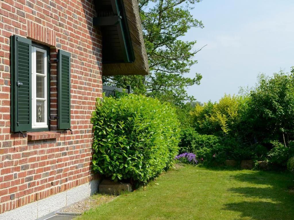 Wildrose Ferienhaus Boltenhagen (Ostseebad) Exterior foto